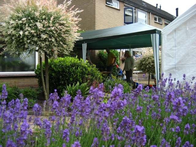 Adje 50 Jaar (Oranje/ijsvereniging)